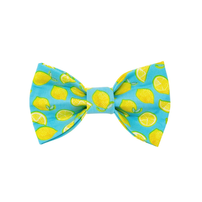 Lemon Bow Tie