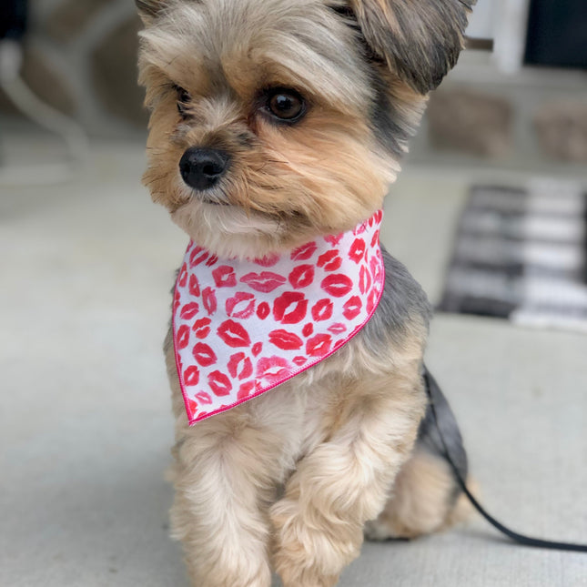 Lips & Kisses Valentine Bandana