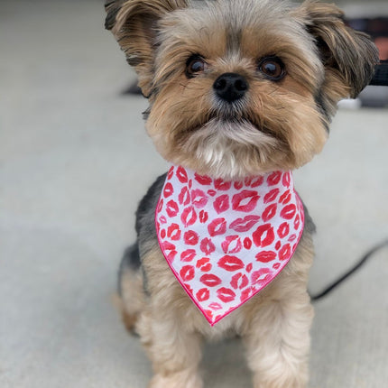 Lips & Kisses Valentine Bandana