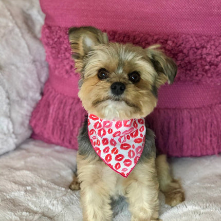 Lips & Kisses Valentine Bandana