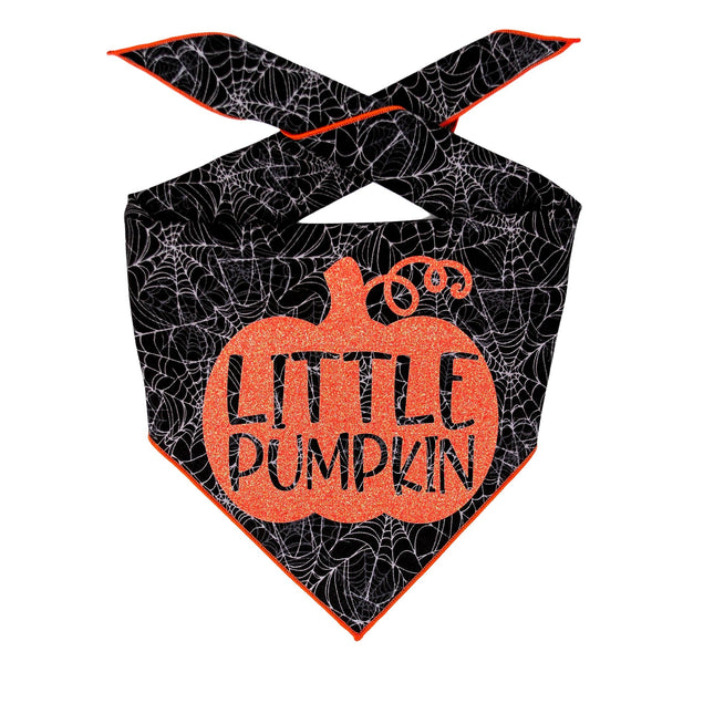 Little Pumpkin Web Halloween Dog Bandana