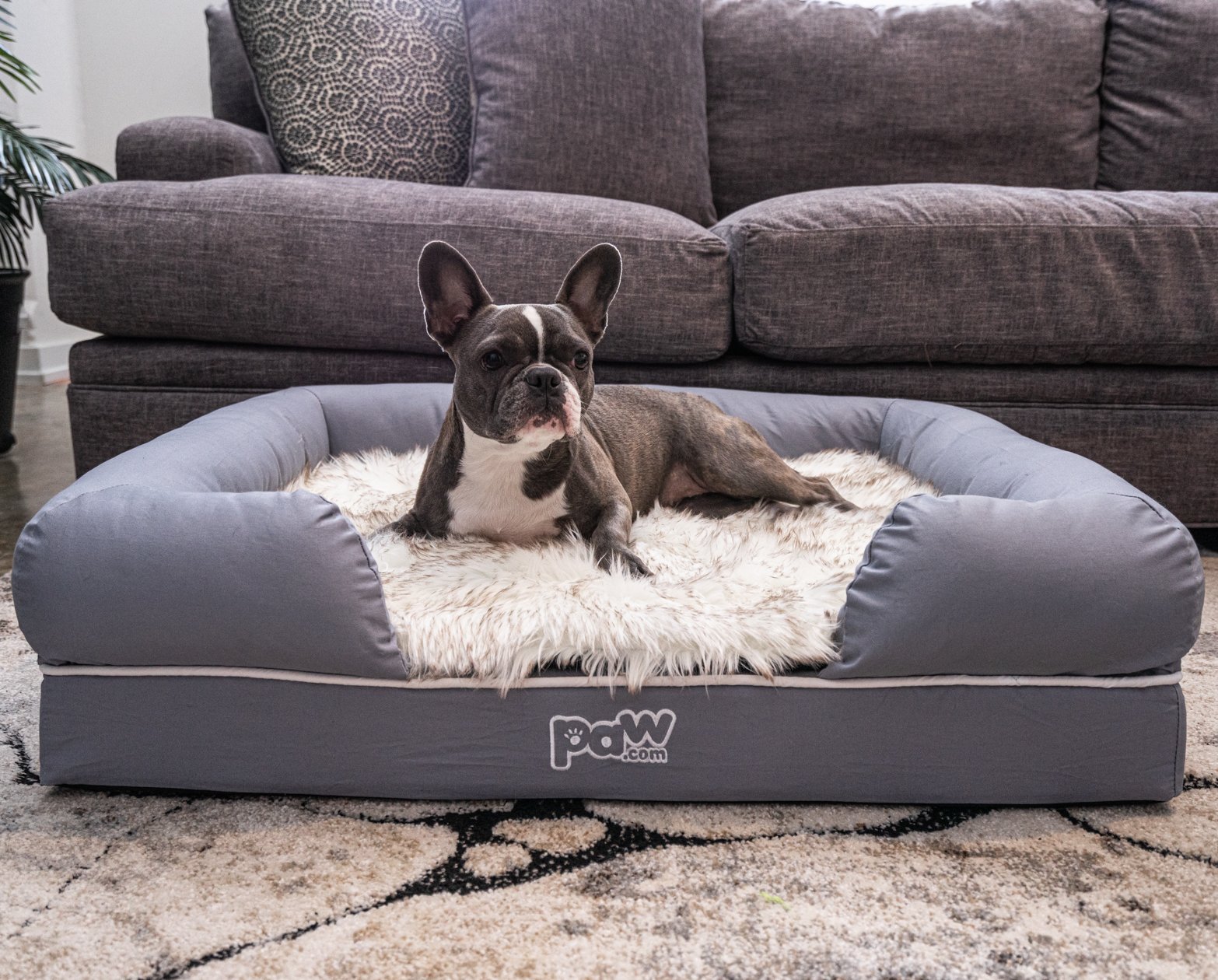 PupLounge Memory Foam Bolster Bed & Topper