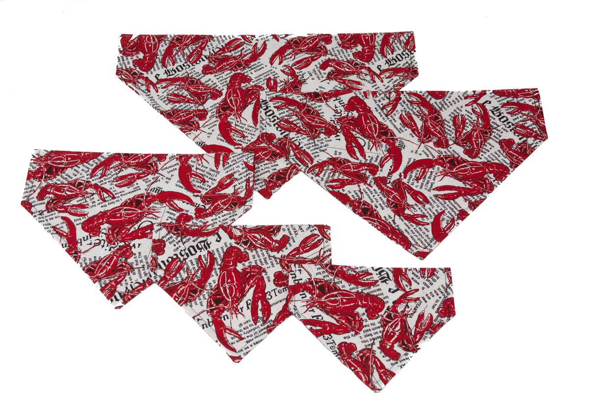 Lobster Fest! Dog Bandana