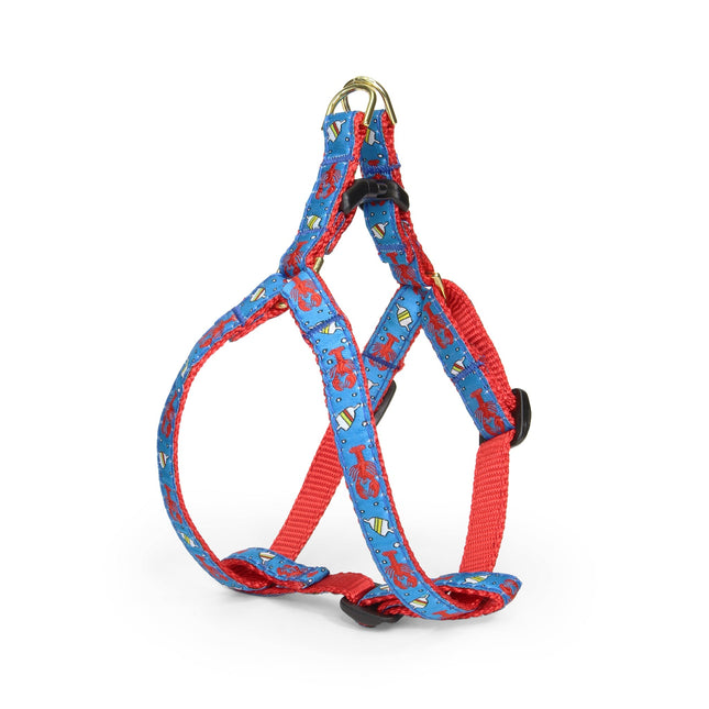 Lobster and Buoy Small Breed Dog Harness