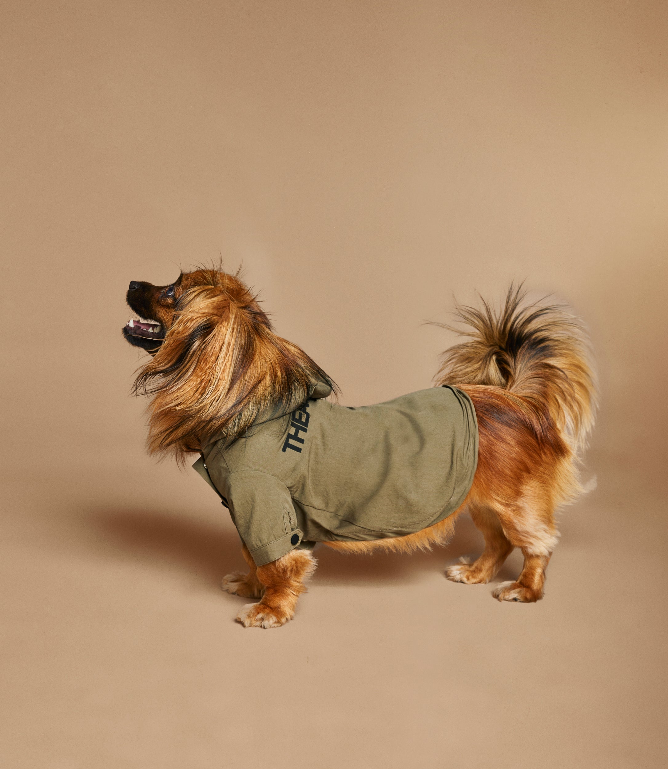 Logo Light Dog Coat Khaki