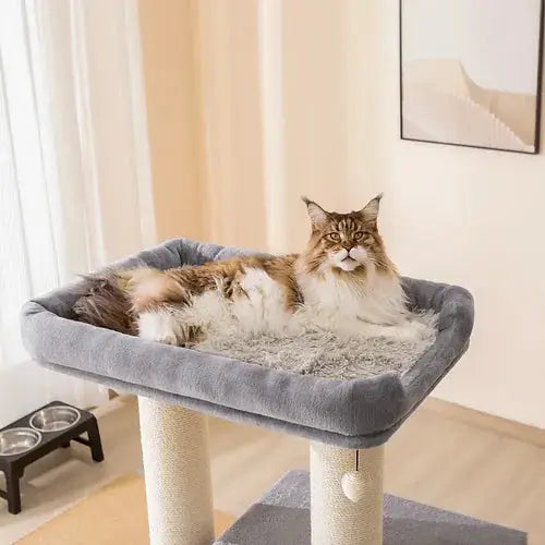 LuLu Modern & Contemporary Design Heavy-Duty Cat Tree