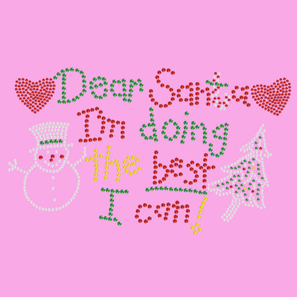 Dear Santa I'm Doing the Best I Can - Women's T-shirt