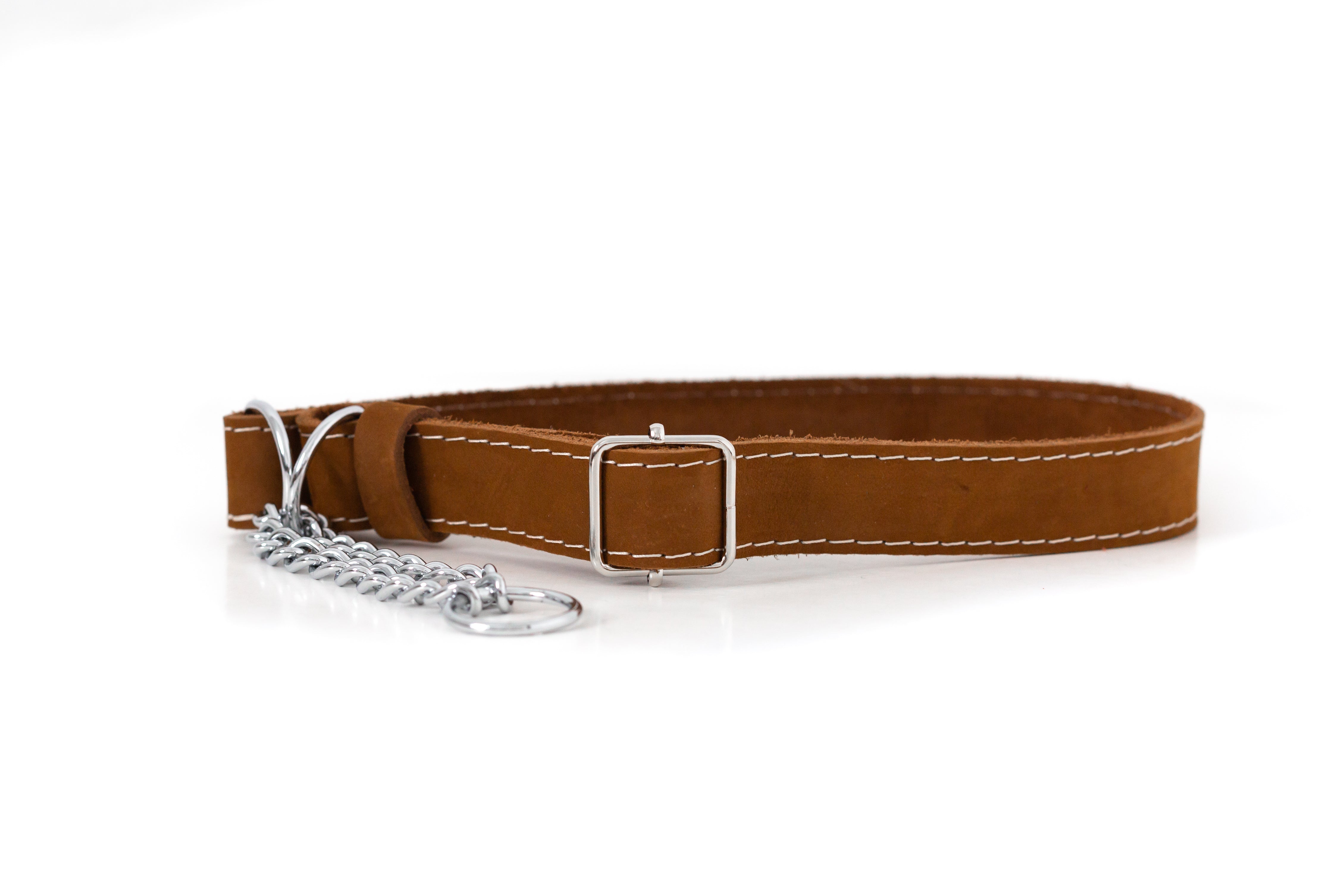 Martingale Leather Dog Collar