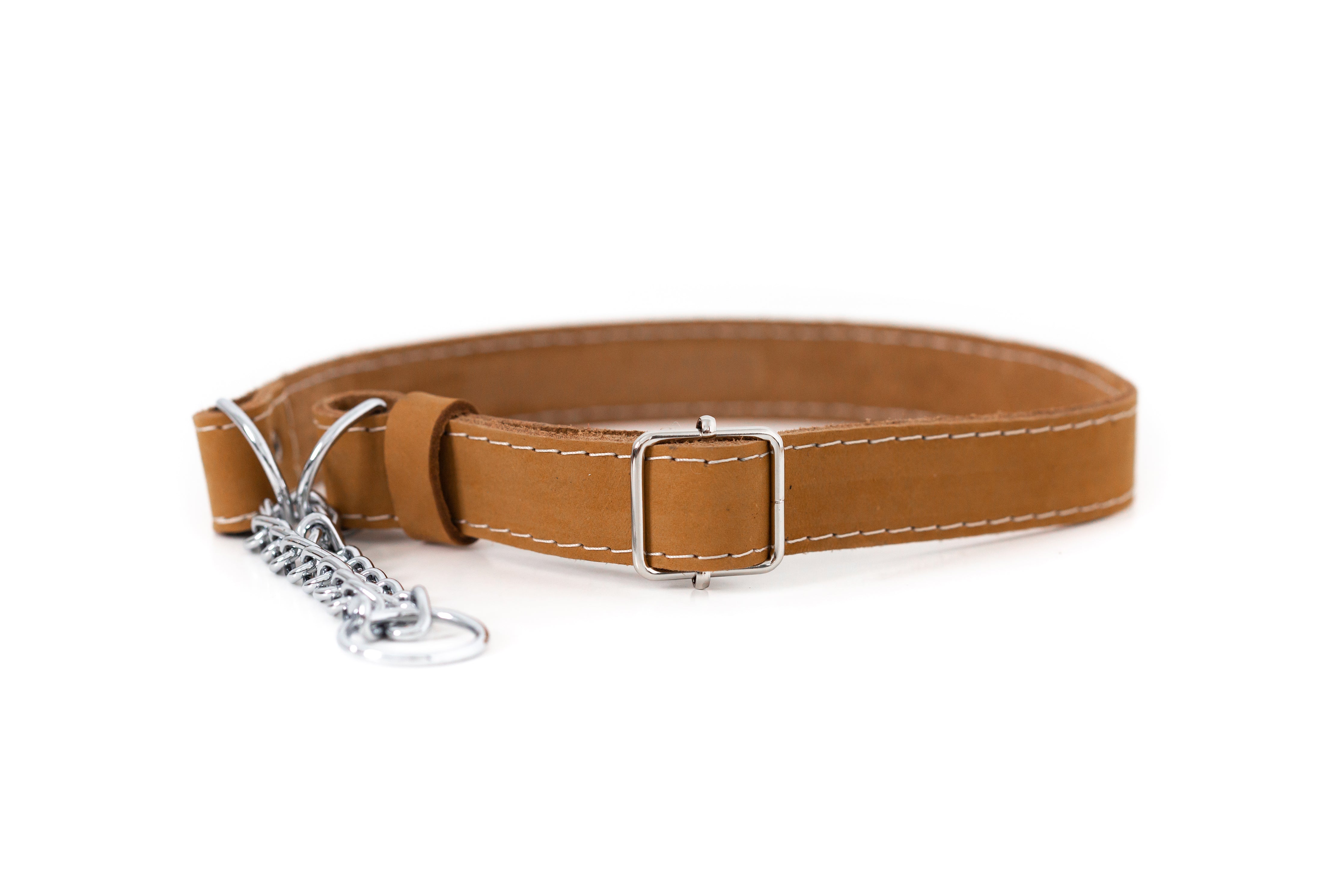 Martingale Leather Dog Collar