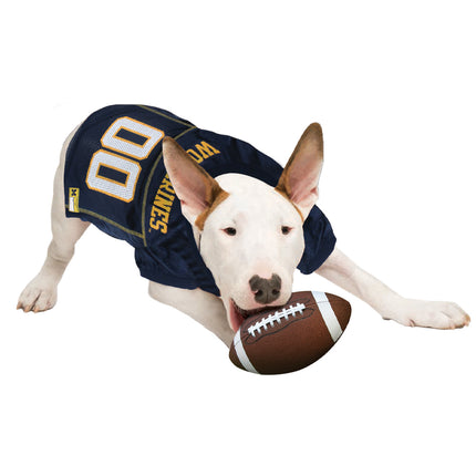 Michigan Wolverines Dog Jersey