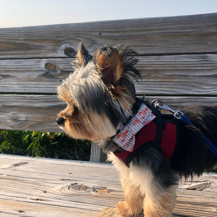 Maine Lobster Dog Bow Tie