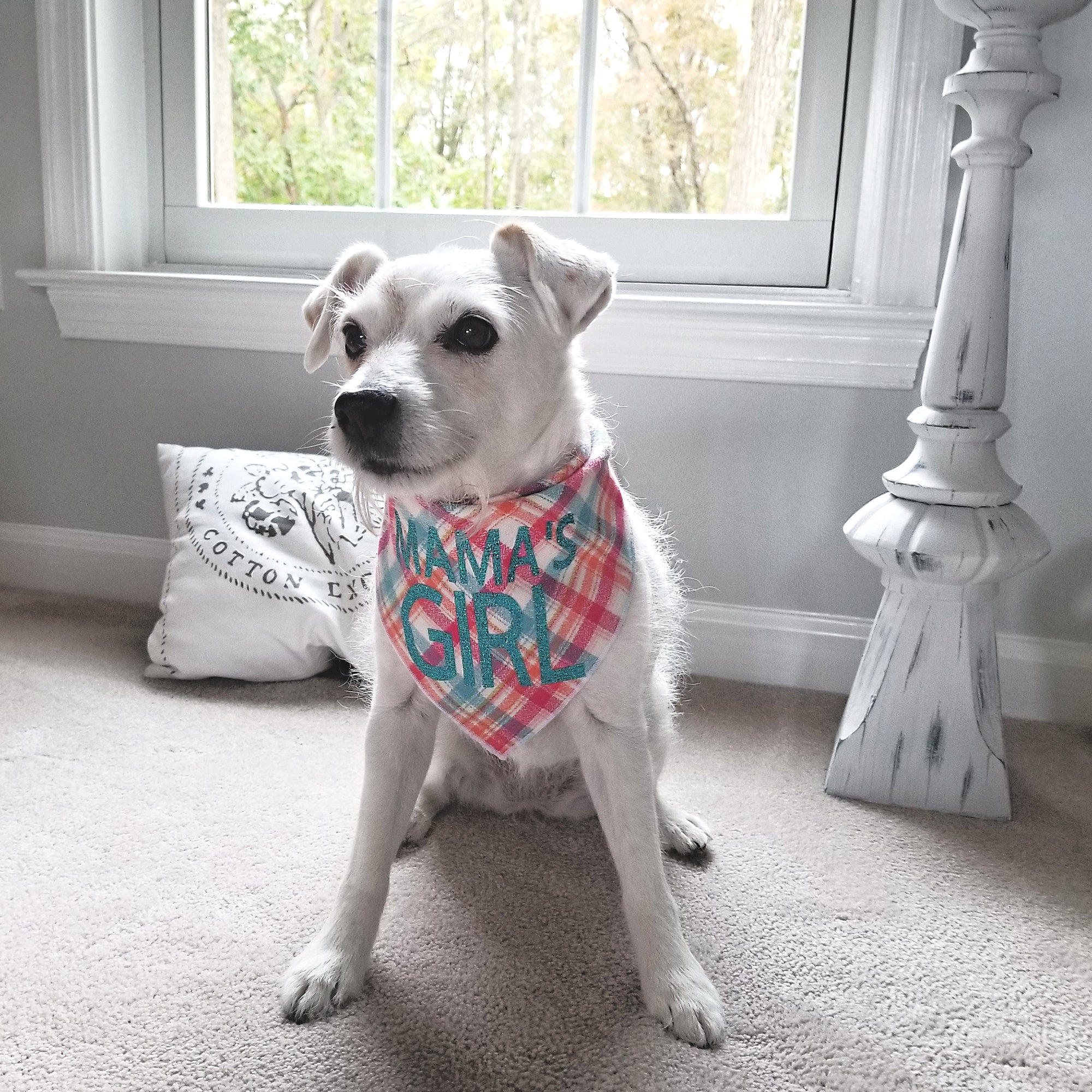 Mama's Girl Luxe Flannel Dog Bandana