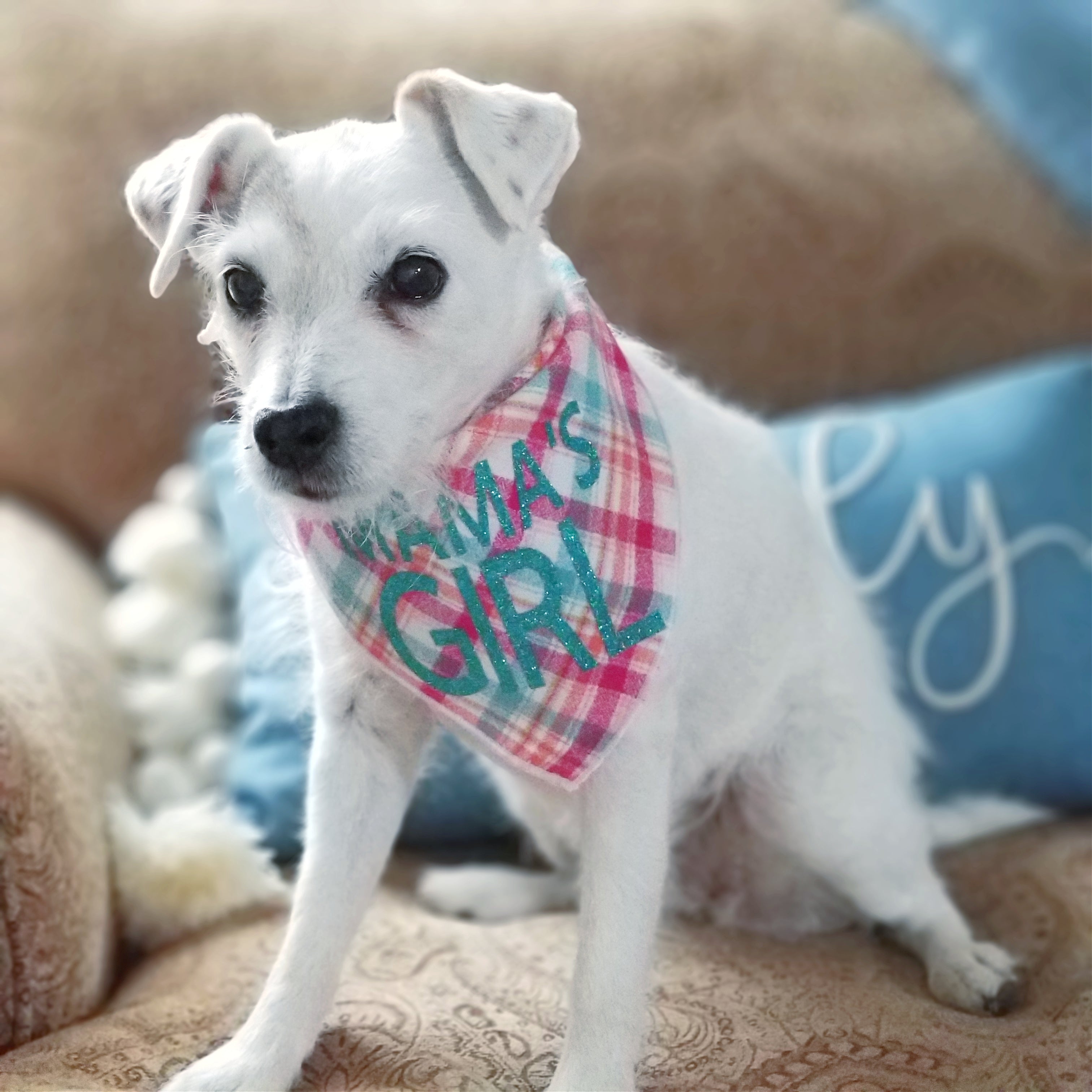 Mama's Girl Luxe Flannel Dog Bandana