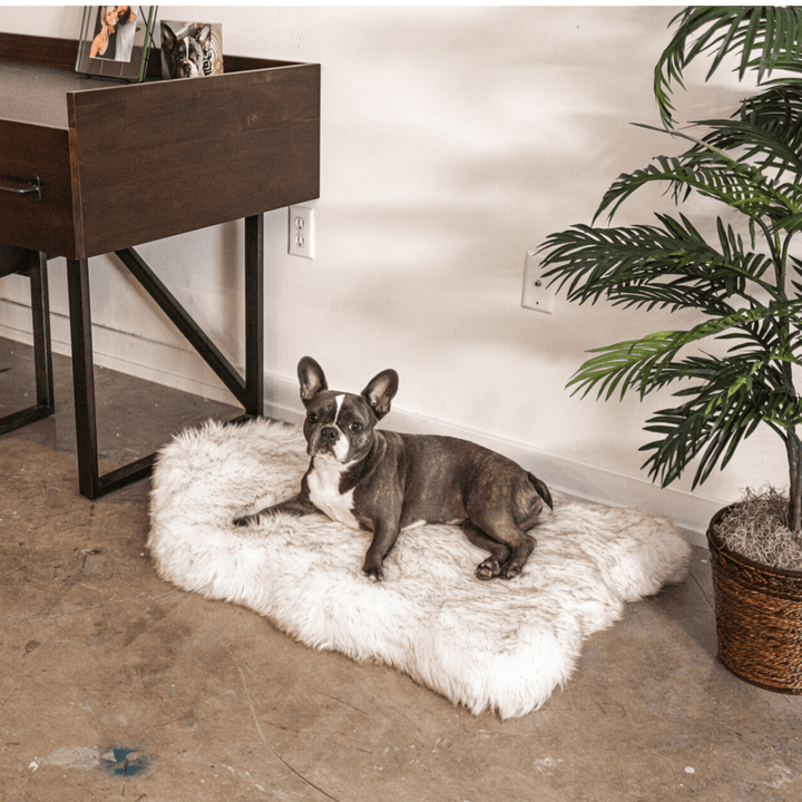 PupRug Faux Fur Orthopedic Dog Bed - Curve White with Brown Accents