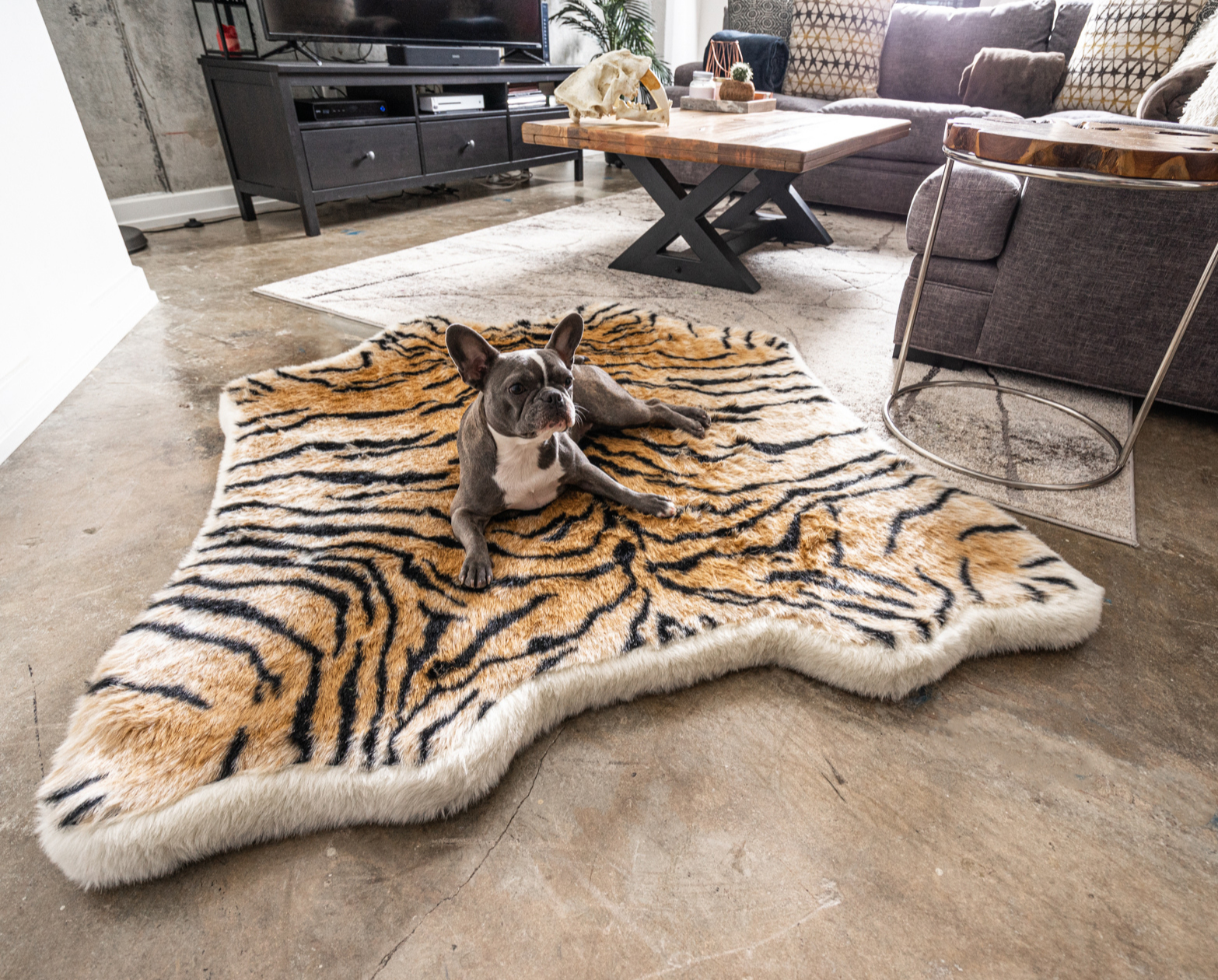 PupRug™ Animal Print Memory Foam Dog Bed - Tiger Faux Print