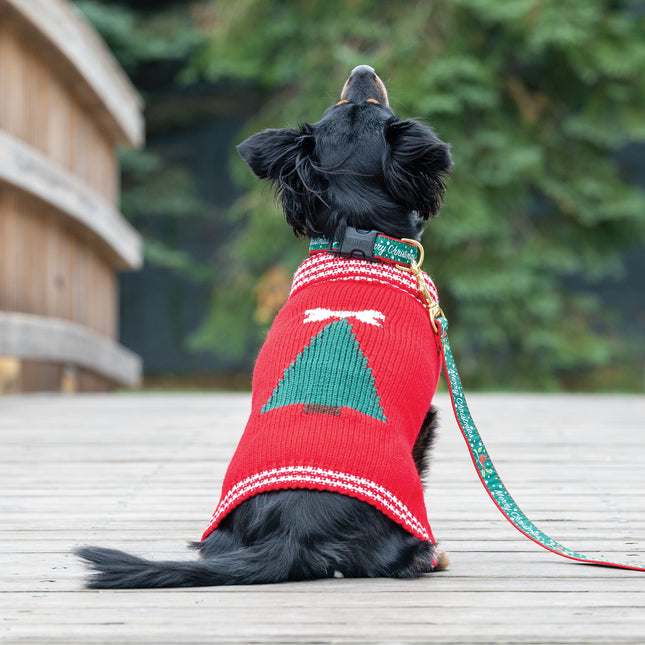 Merry Christmas Dog Collar