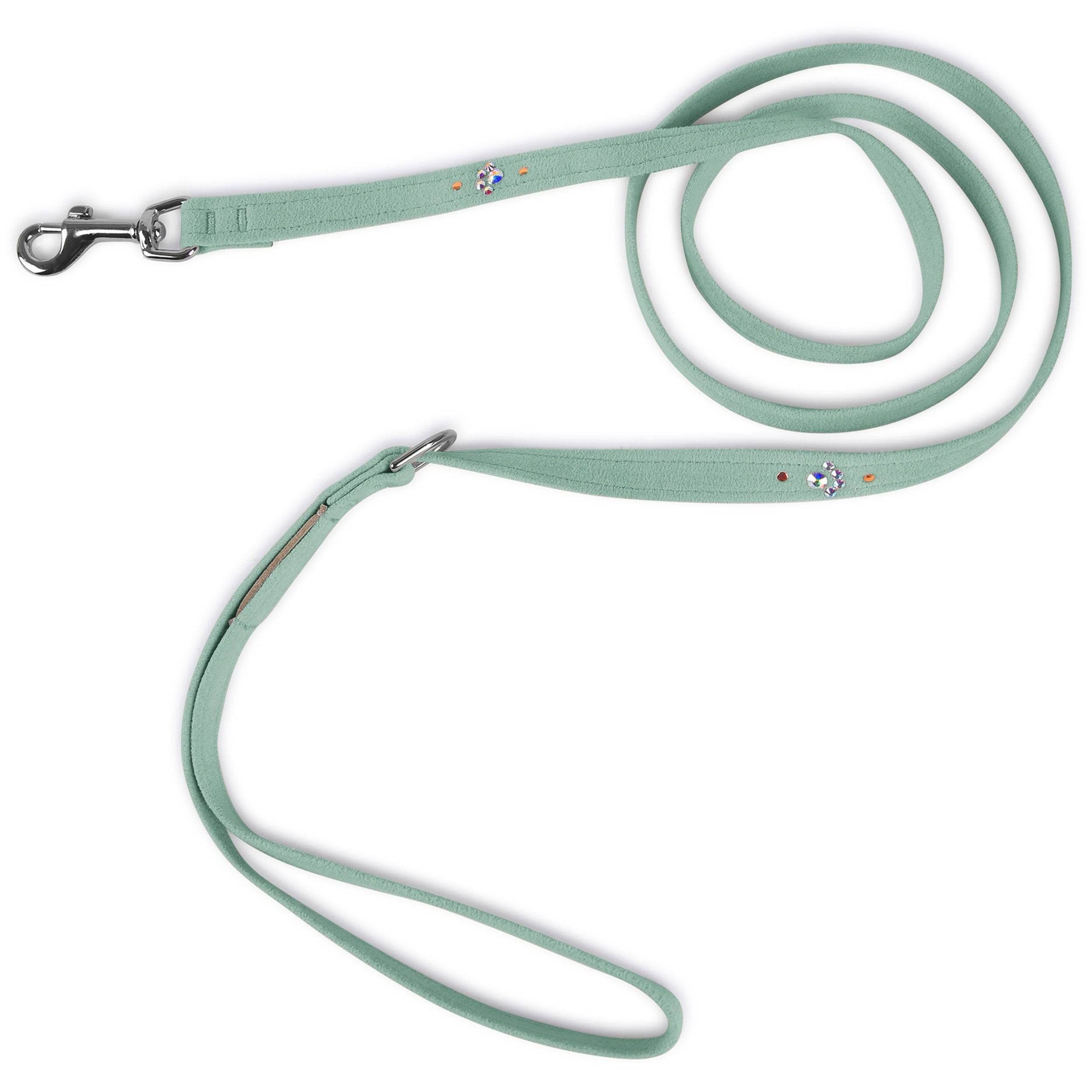 Crystal Paws Leash Mint