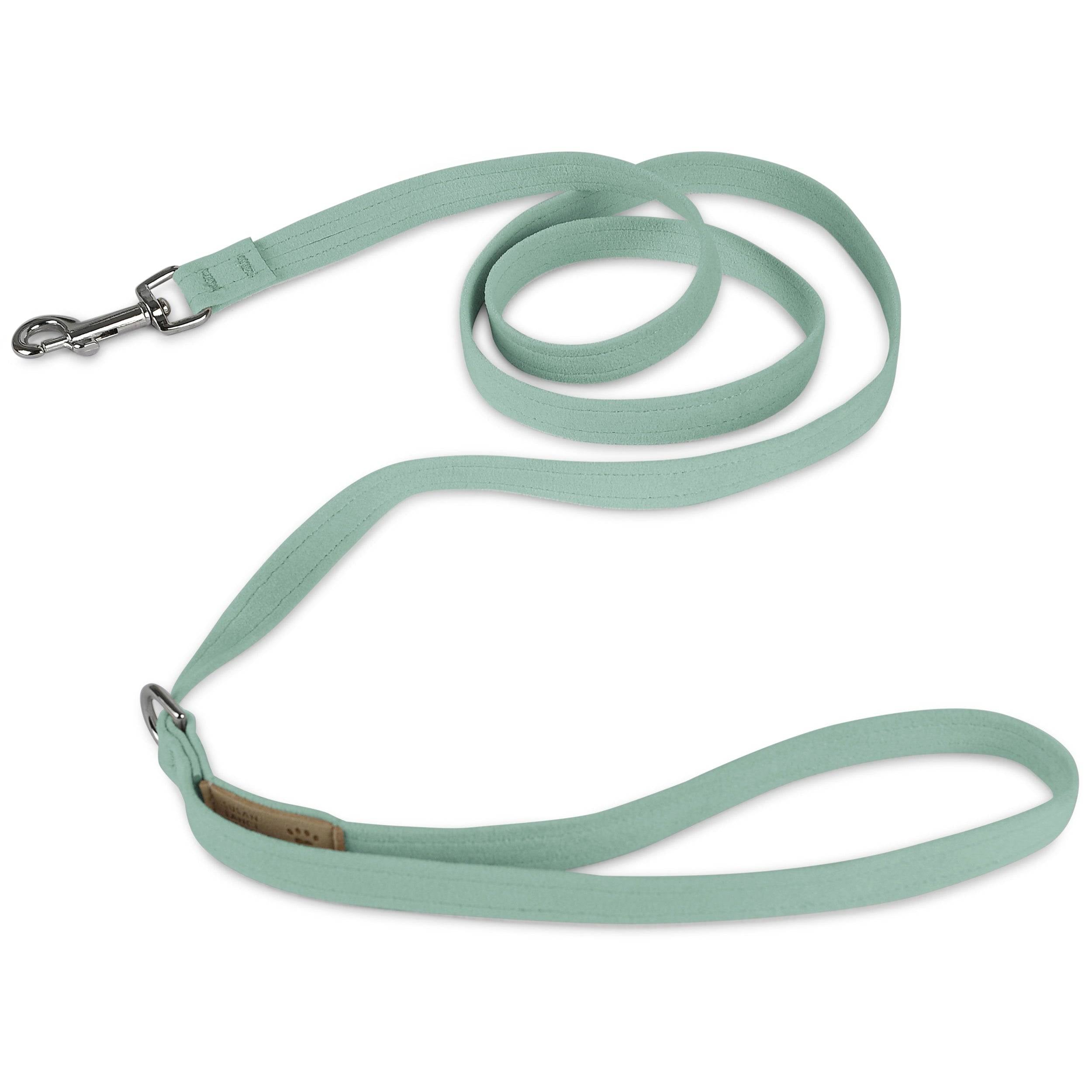 Mint Solid Leash Mint