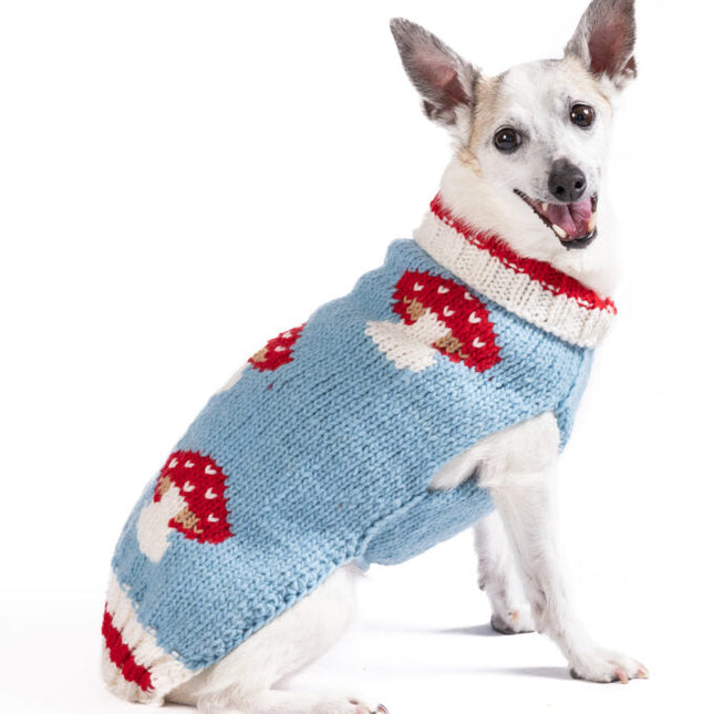 Mushroom Dog Sweater