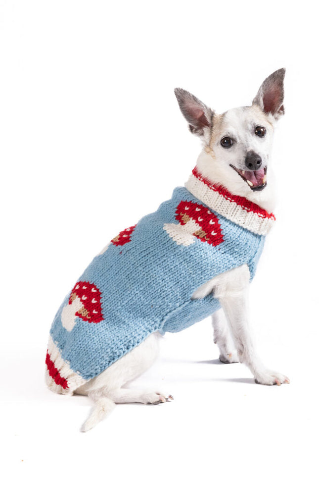 Mushroom Dog Sweater