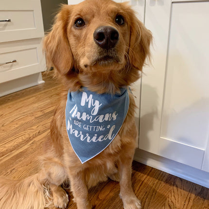 My Humans are Getting Married Denim Dog Bandana