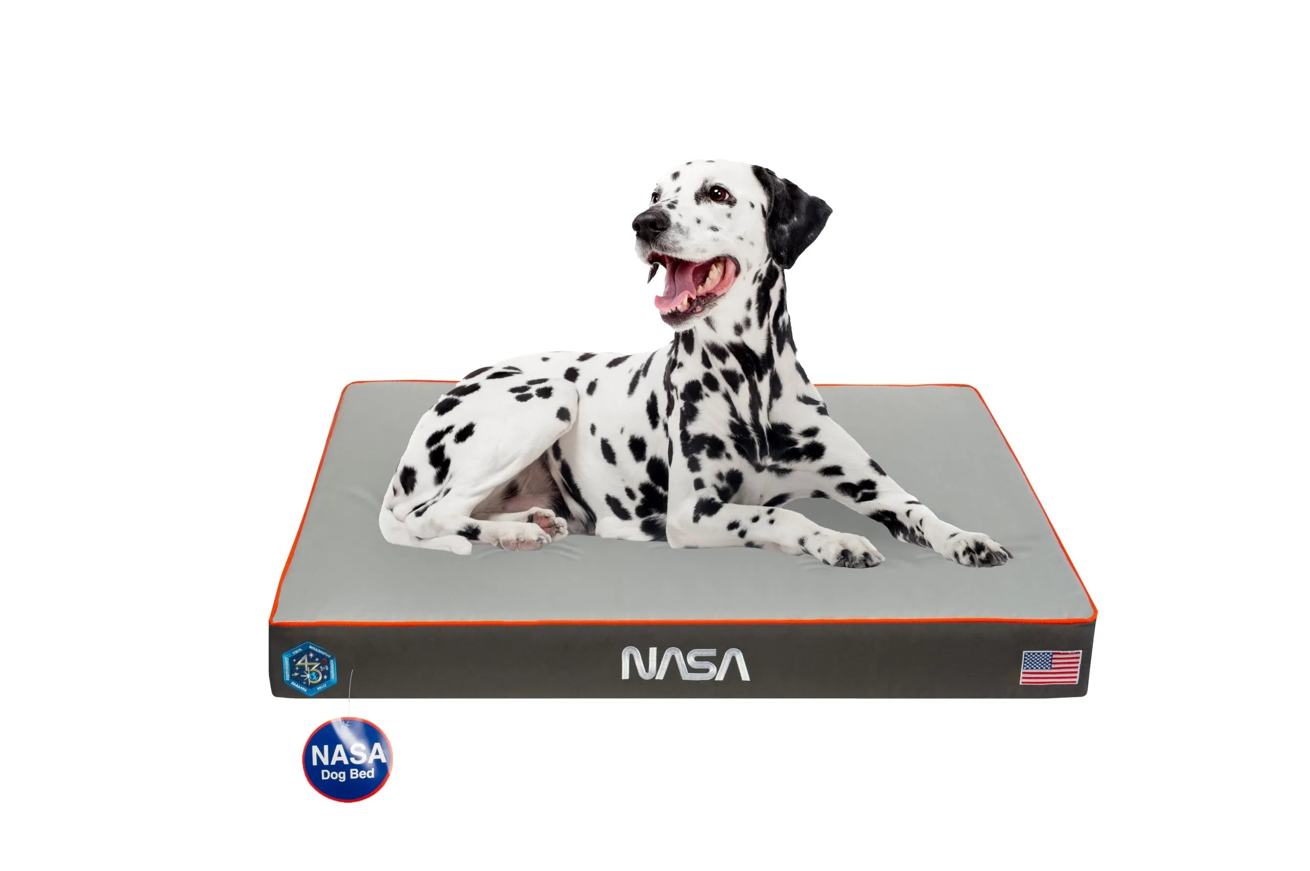 NASA Dog Bed in Astro Orange Space Grey