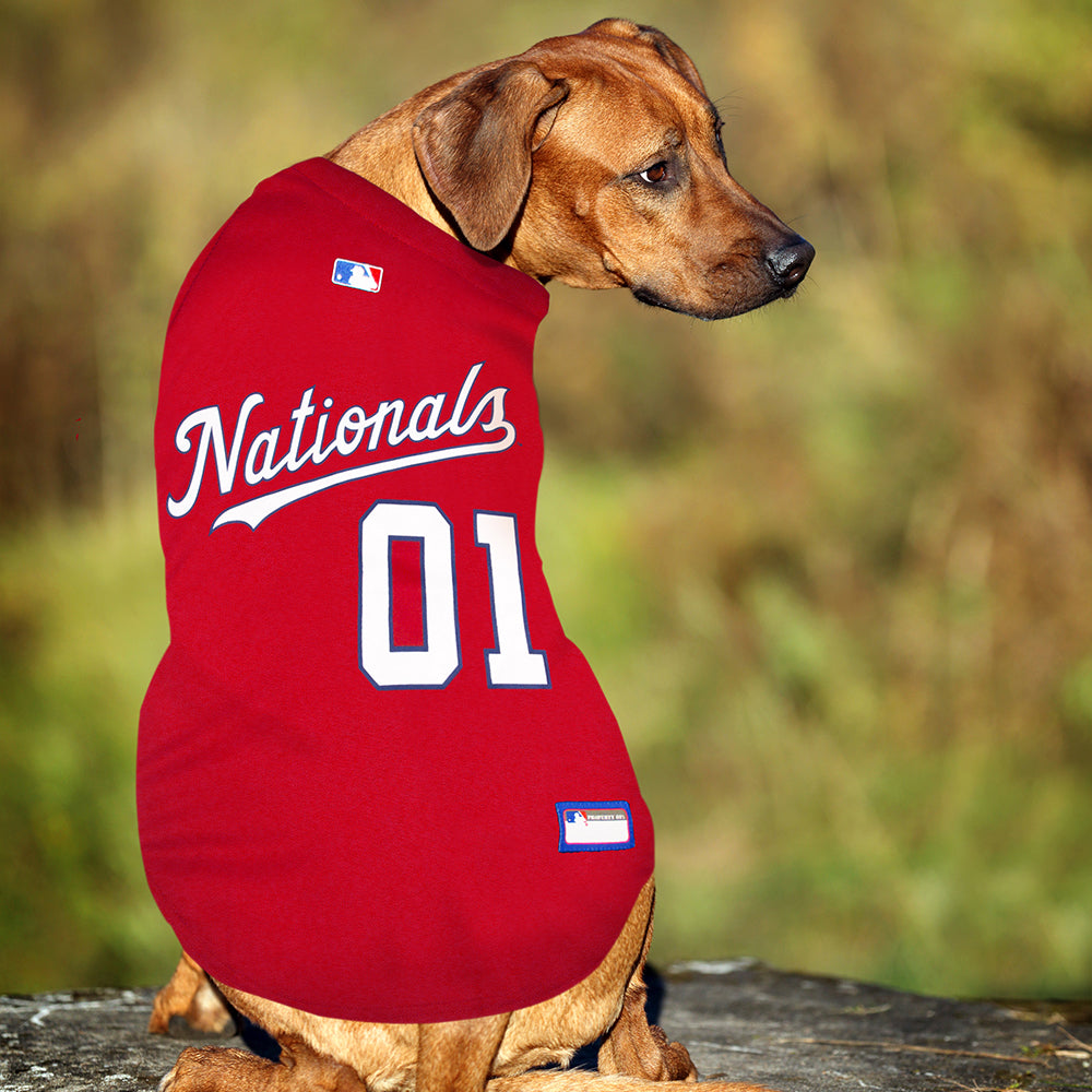 Washington Nationals Dog Jersey