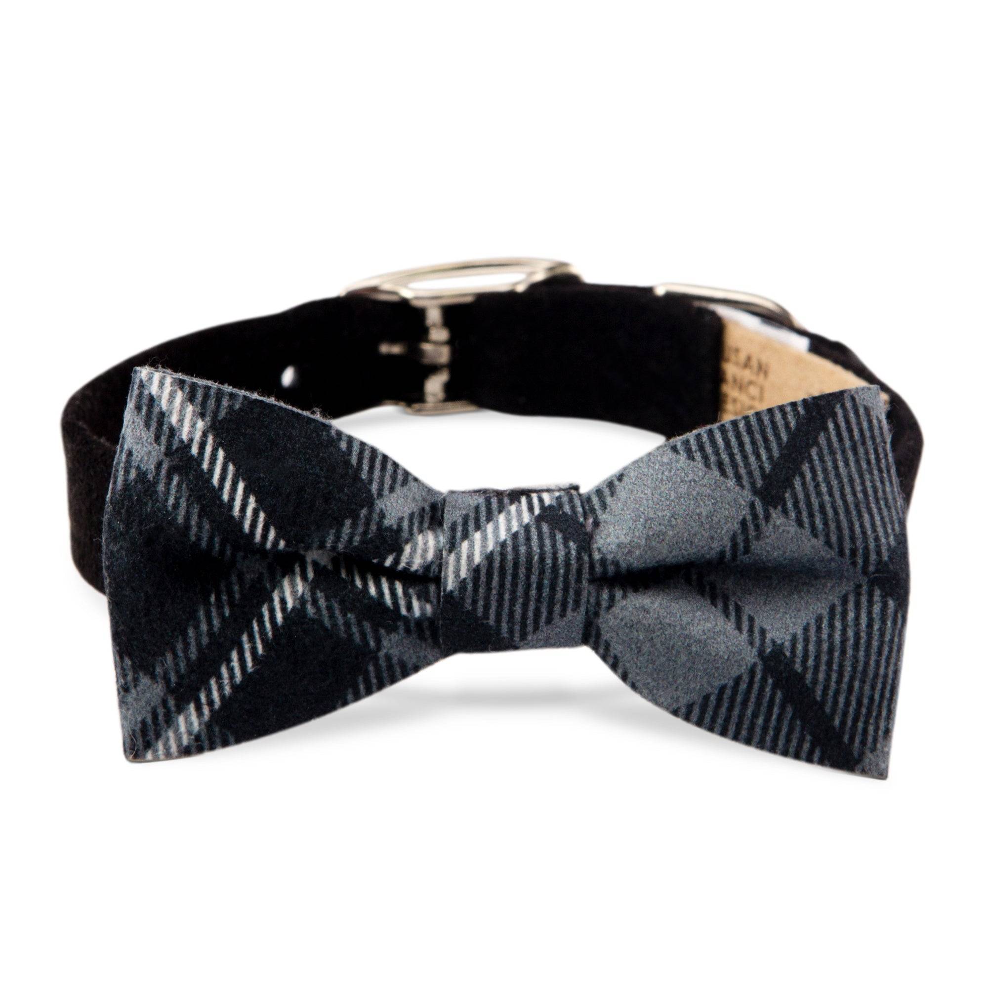 Scotty Charcoal Plaid Bow Tie Collar Black