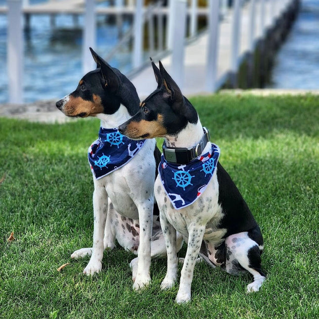 Nautical Boating Dog Bandana