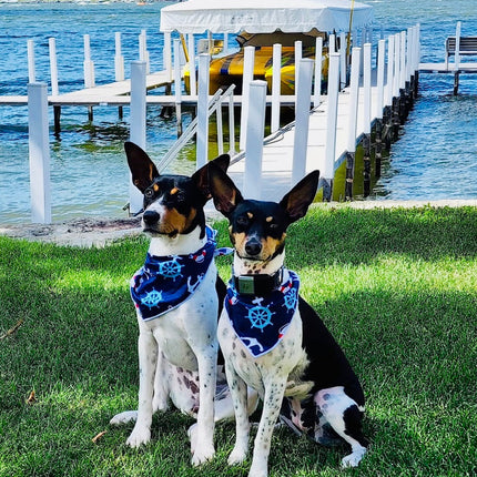 Nautical Boating Dog Bandana