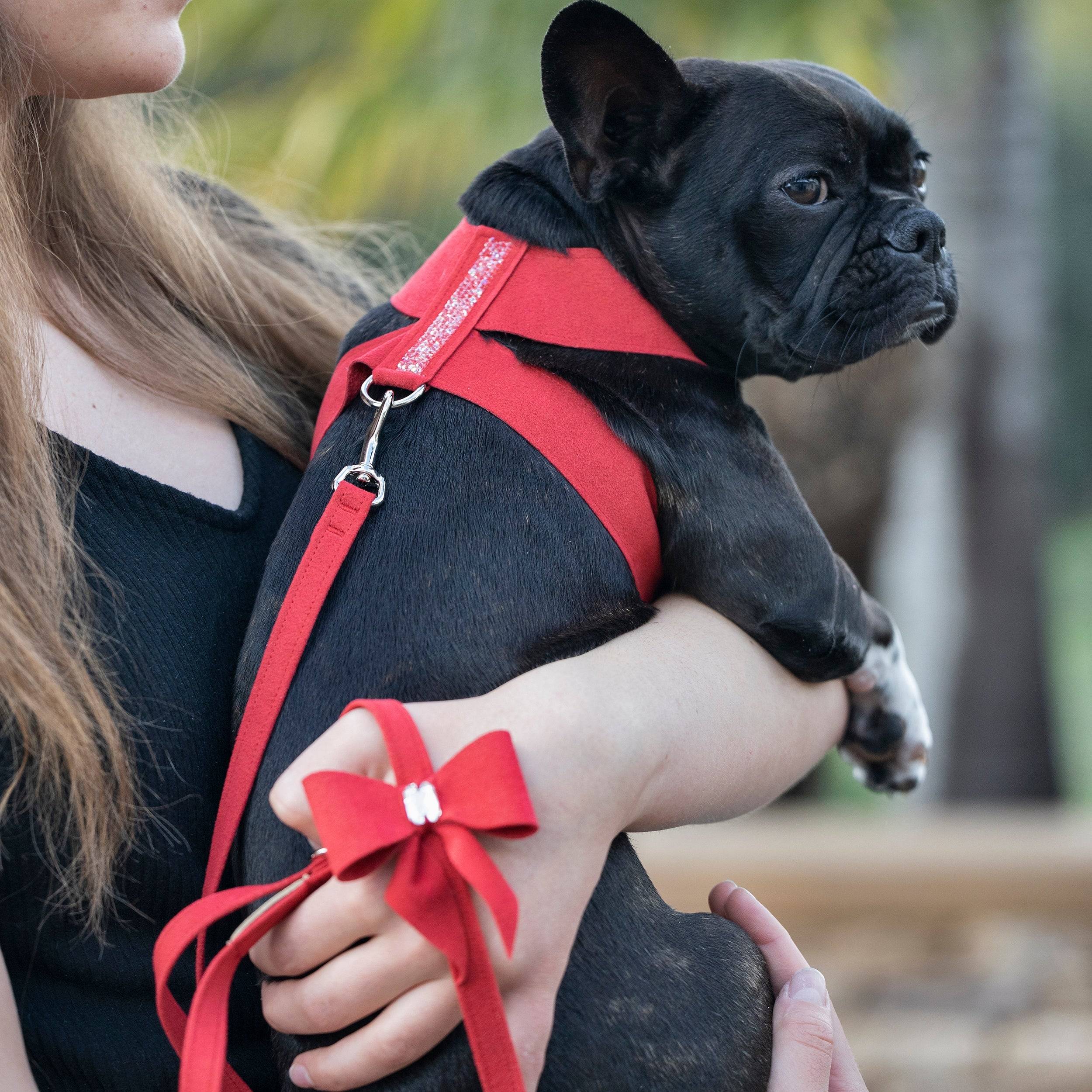 Tail Bow Leash