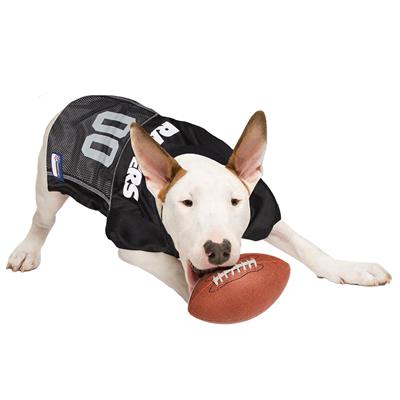 Las Vegas Raiders NFL Dog Jersey