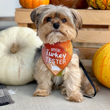 Official Turkey Tester Luxe Flannel Dog Bandana