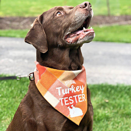 Official Turkey Tester Luxe Flannel Dog Bandana