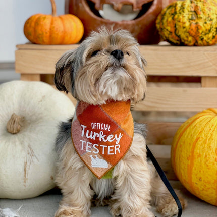 Official Turkey Tester Luxe Flannel Dog Bandana