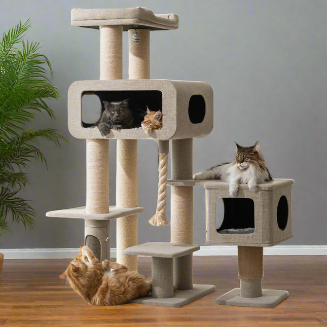 Ontario Maine Coon Cat Tree