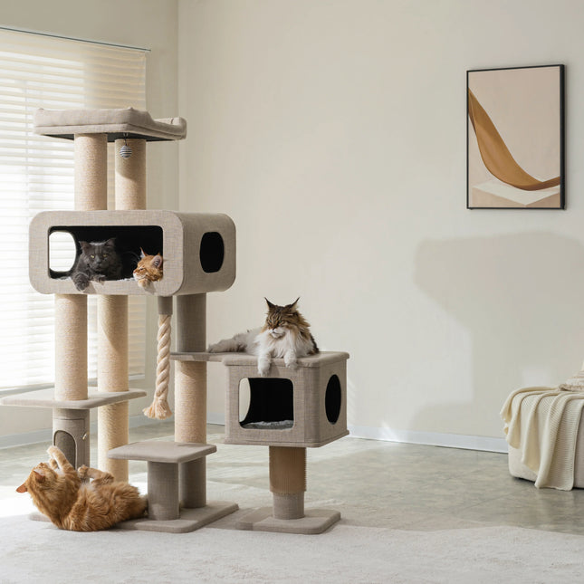 Ontario Maine Coon Cat Tree