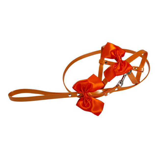 Fashion Dog Harness and Leash Set - Orange Bow