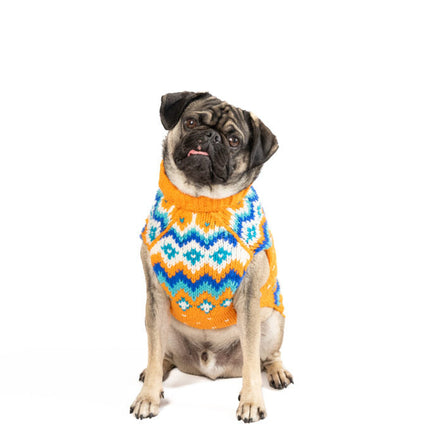 Artic Amber Dog Sweater