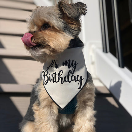 Organic Cotton Birthday Bandana