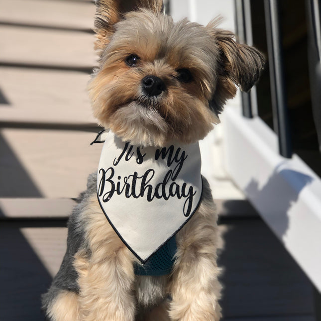 Organic Cotton Birthday Bandana