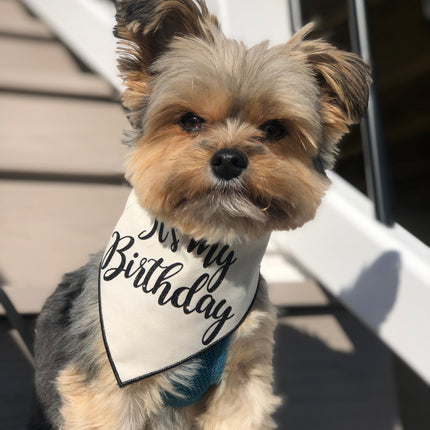 Organic Cotton Birthday Bandana