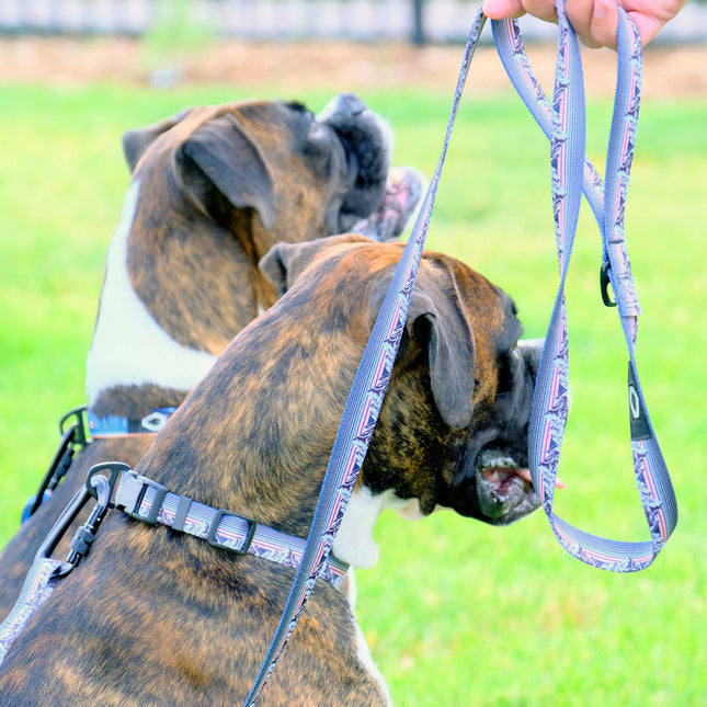 Outdoor Style Frozen Forest Nylon Step In Dog Harness