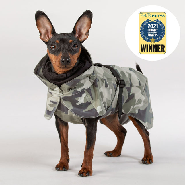 Recovery Raincoat Camo for Dogs