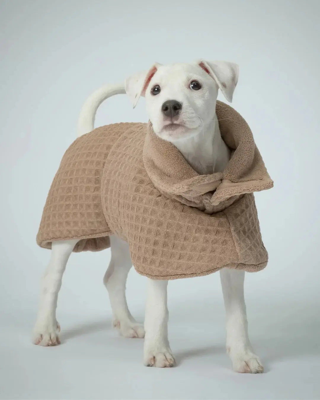 Drying Coat Spa taupe for Dogs