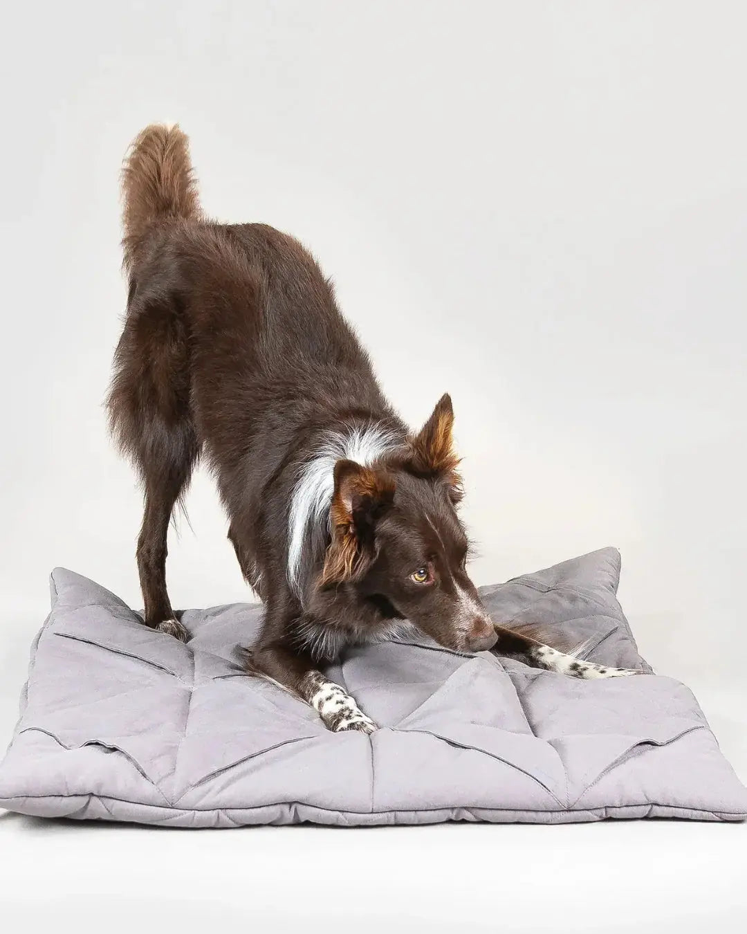 Square Grey Playmat for Dogs