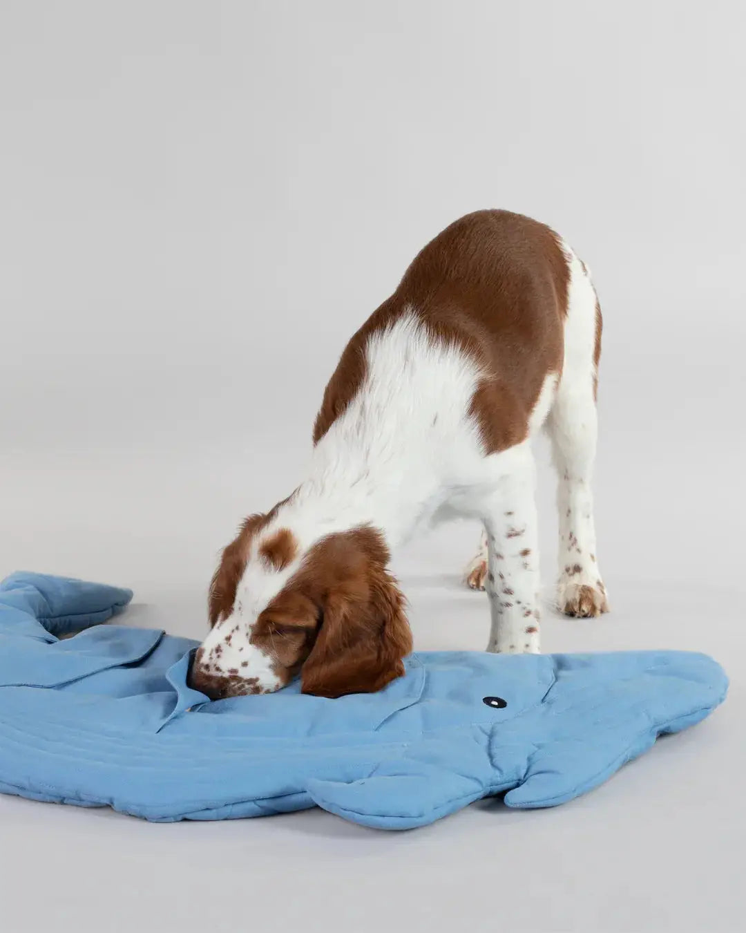 Whale Playmat for Dogs