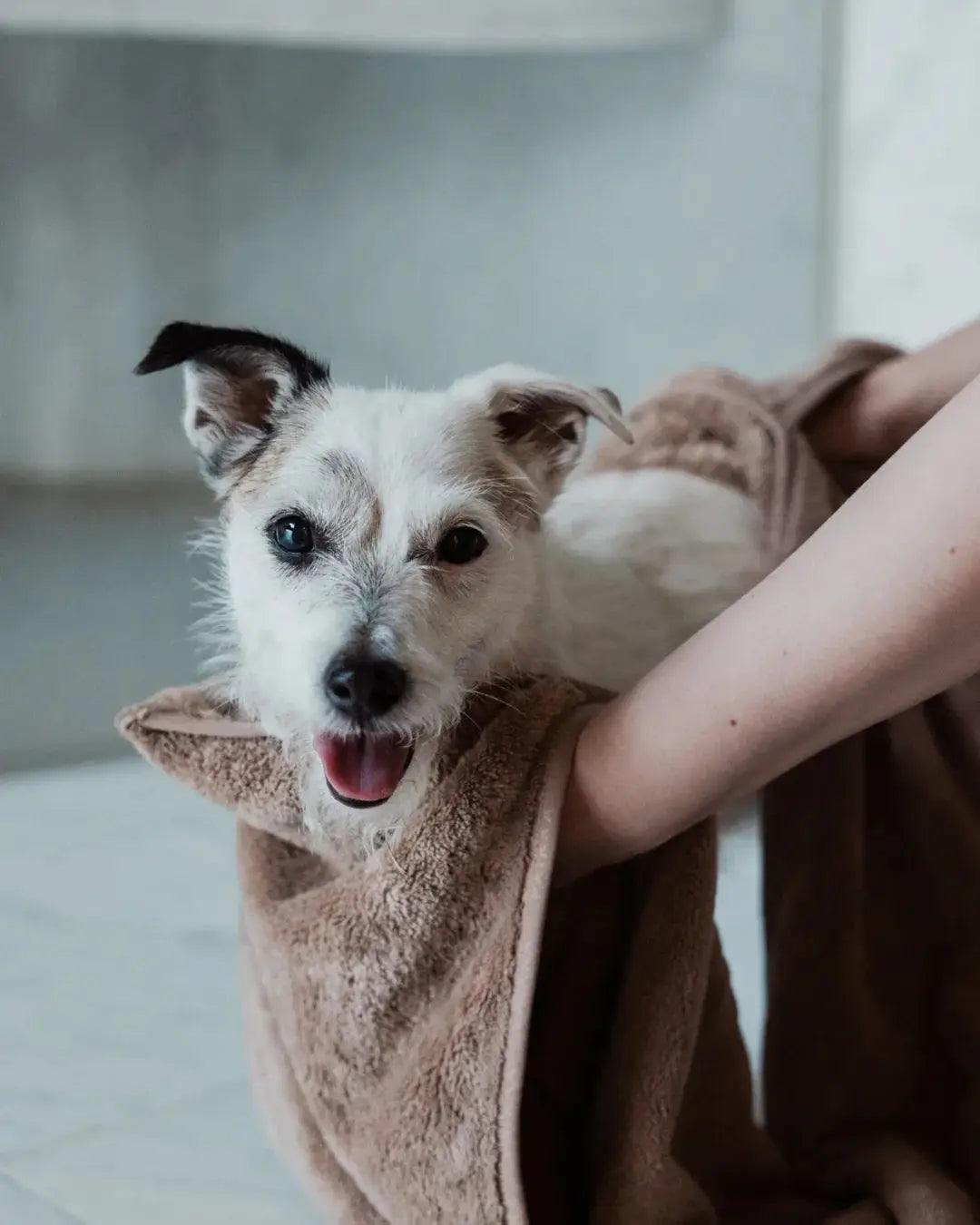 Drying Towel 40x110cm Taupe for Dogs