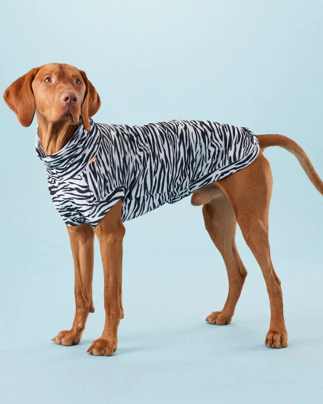 UV & Bug Shirt for Dogs