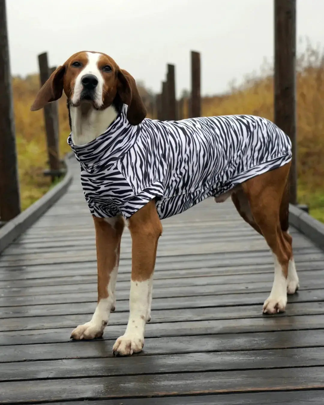 UV & Bug Shirt for Dogs